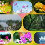 Dịch vụ cấp chứng chỉ năng lực xây dựng hạng III tại Huyện Phú Giáo 6 Xin giấy chứng chỉ hoạt động năng lực xây dựng tại Huyện Phú Giáo