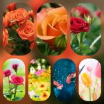 Dịch vụ cấp chứng chỉ năng lực xây dựng hạng III tại Khánh Hòa 6 Xin giấy chứng chỉ hoạt động năng lực xây dựng tại Khánh Hòa
