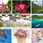 Dịch vụ cấp chứng chỉ năng lực xây dựng hạng III tại Lai Châu 6 Xin giấy chứng chỉ hoạt động năng lực xây dựng tại Lai Châu