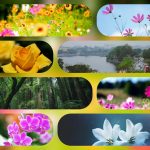 Dịch vụ cấp chứng chỉ năng lực xây dựng hạng III tại Nam Định 6 Xin giấy chứng chỉ hoạt động năng lực xây dựng tại Nam Định