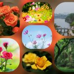Dịch vụ cấp chứng chỉ năng lực xây dựng hạng III tại Ninh Thuận 6 Xin giấy chứng chỉ hoạt động năng lực xây dựng tại Ninh Thuận