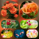 Dịch vụ cấp chứng chỉ năng lực xây dựng hạng III tại Quảng Bình 6 Xin giấy chứng chỉ hoạt động năng lực xây dựng tại Quảng Bình