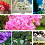 Dịch vụ cấp chứng chỉ năng lực xây dựng hạng III tại Thị xã Dĩ An 6 Xin giấy chứng chỉ hoạt động năng lực xây dựng tại Thị xã Dĩ An