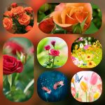 Dịch vụ cấp chứng chỉ năng lực xây dựng hạng III tại Thị xã Tân Uyên 6 Xin giấy chứng chỉ hoạt động năng lực xây dựng tại Thị xã Tân Uyên