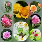 Dịch vụ cấp chứng chỉ năng lực xây dựng hạng III tại Tuyên Quang 6 Xin giấy chứng chỉ hoạt động năng lực xây dựng tại Tuyên Quang