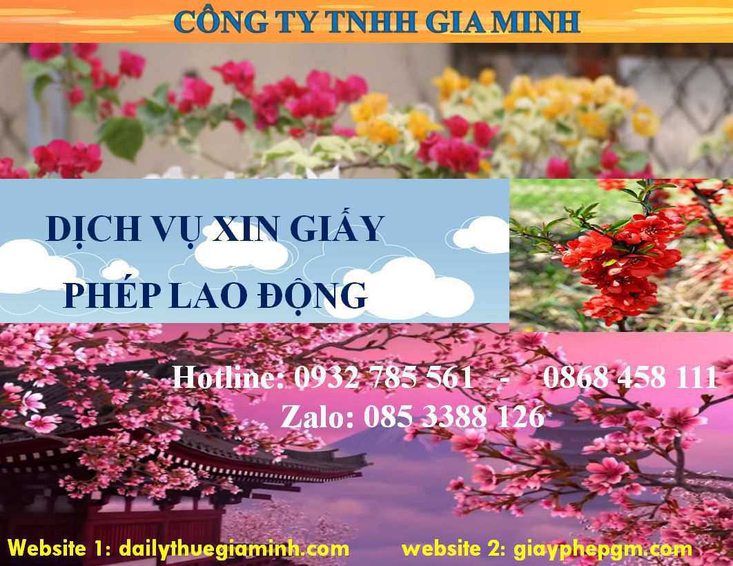 Dịch vụ xin giấy phép lao động An Giang 4 Thủ tục xin giấy phép lao động An Giang