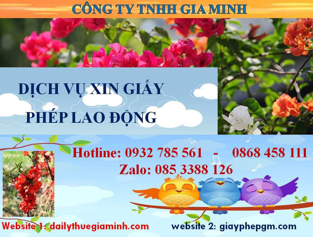 Dịch vụ xin giấy phép lao động Bắc Ninh 4 Thủ tục xin giấy phép lao động Bắc Ninh