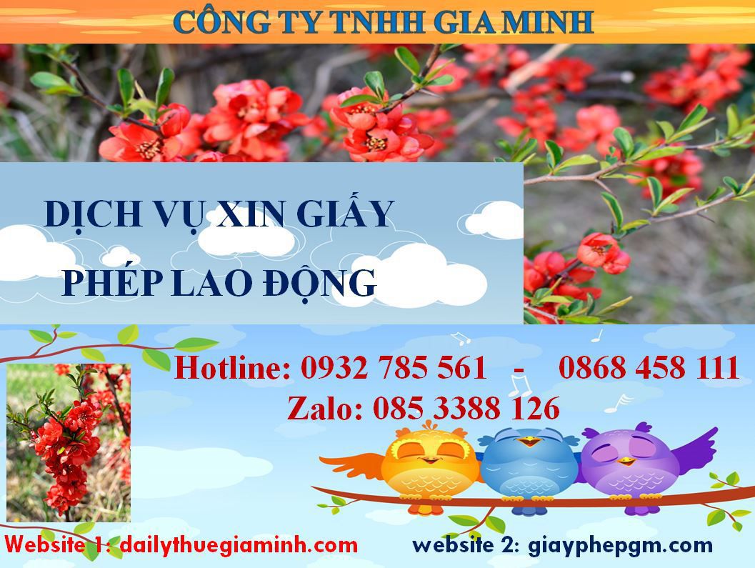 Dịch vụ xin giấy phép lao động Bến Tre 4 Thủ tục xin giấy phép lao động Bến Tre