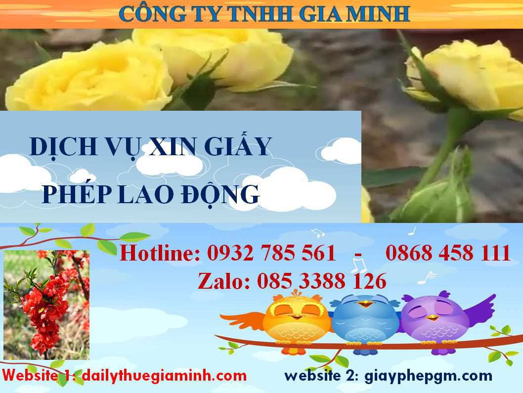 Dịch vụ xin giấy phép lao động Bình Định 4 Thủ tục xin giấy phép lao động Bình Định
