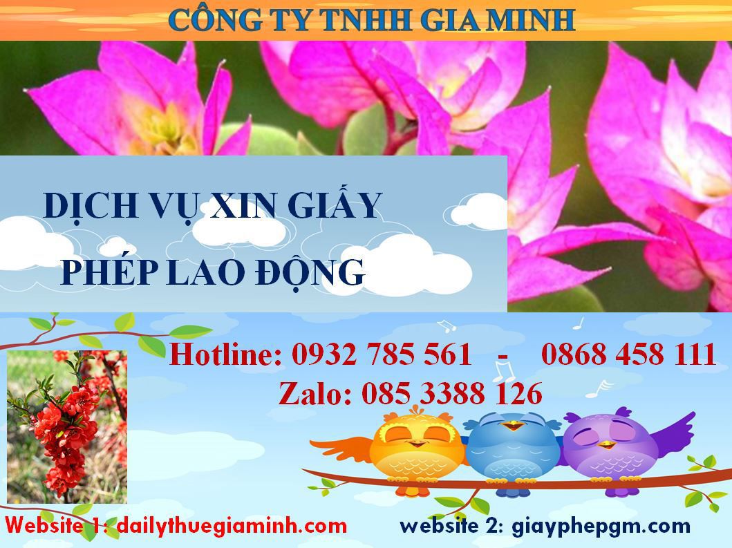 Dịch vụ xin giấy phép lao động Bình Dương - Uy tín, nhanh chóng, chuyên nghiệp 4 Thủ tục xin giấy phép lao động Bình Dương