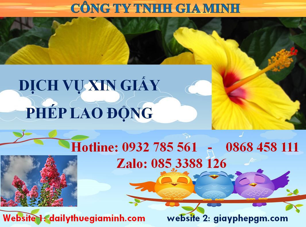 Dịch vụ xin giấy phép lao động Bình Thuận 4 Thủ tục xin giấy phép lao động Bình Thuận