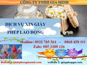 Dịch vụ xin giấy phép lao động Cần Thơ 4 Thủ tục xin giấy phép lao động Cần Thơ