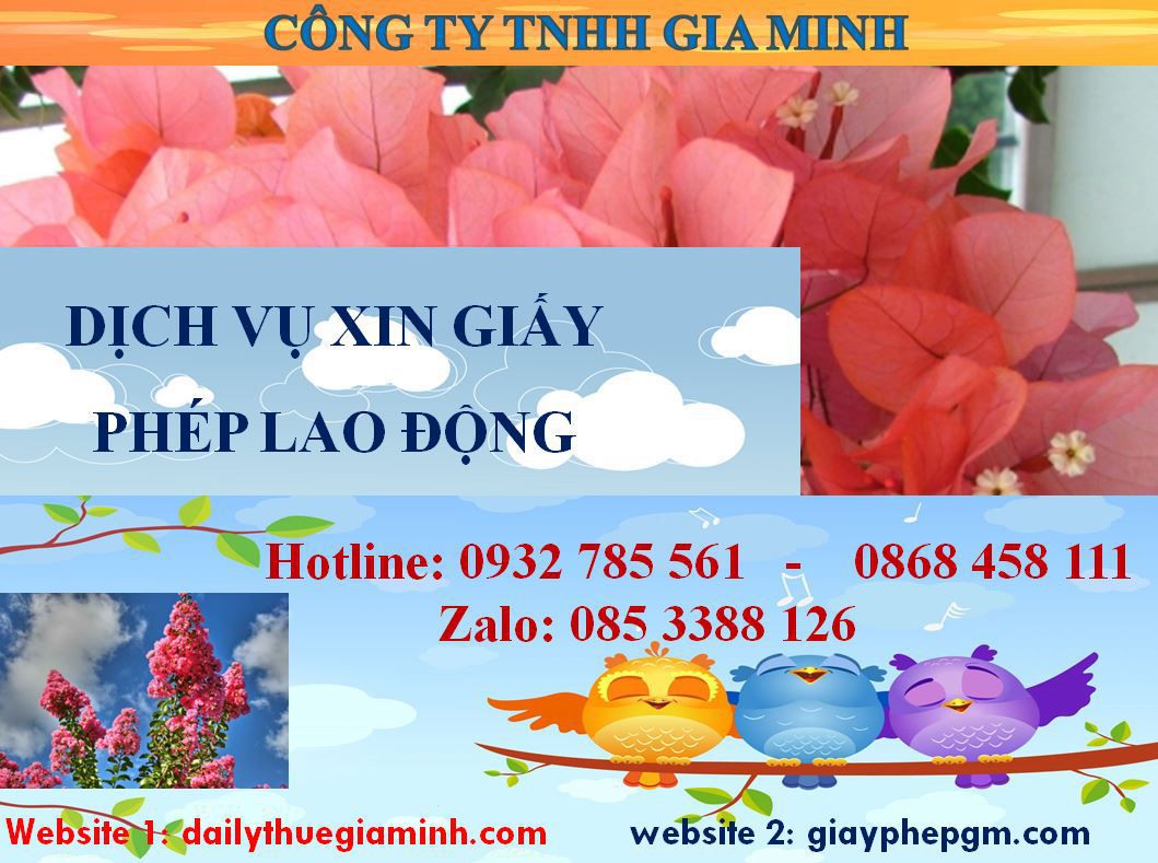 Dịch vụ xin giấy phép lao động Đà Nẵng 4 Thủ tục xin giấy phép lao động Đà Nẵng