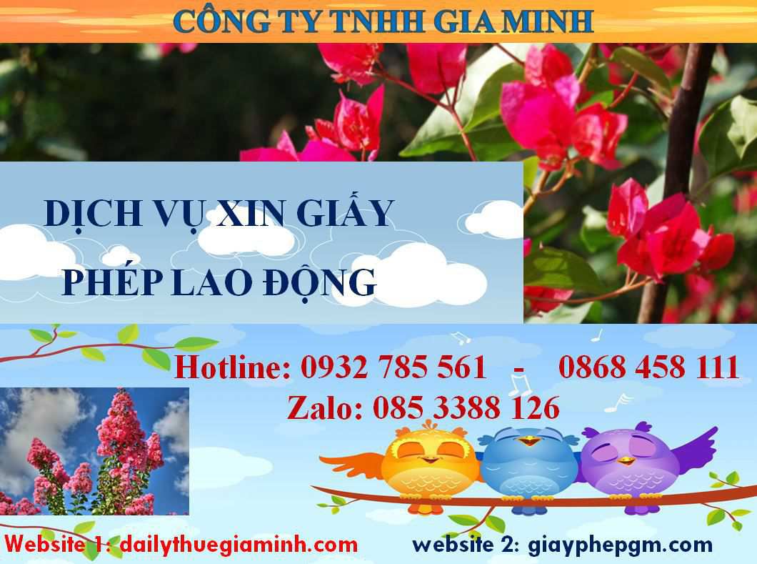 Dịch vụ xin giấy phép lao động Đồng Tháp 4 Thủ tục xin giấy phép lao động Đồng Tháp