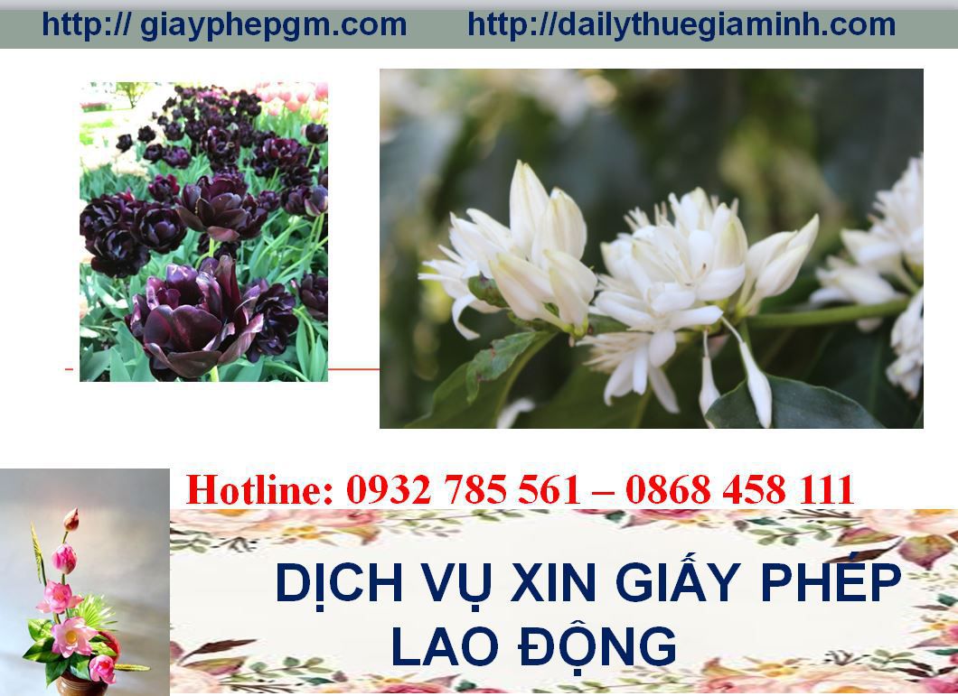 Dịch vụ xin giấy phép lao động Hà Giang 4 Thủ tục xin giấy phép lao động Hà Giang