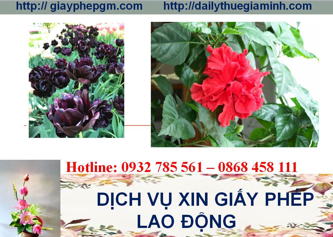 Dịch vụ xin giấy phép lao động Hưng Yên 4 Thủ tục xin giấy phép lao động Hưng Yên