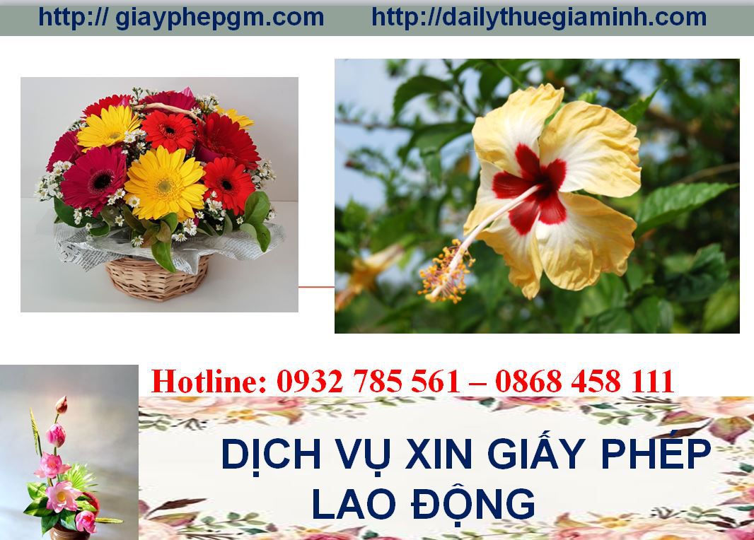 Dịch vụ xin giấy phép lao động Khánh Hòa 4 Thủ tục xin giấy phép lao động Khánh Hòa