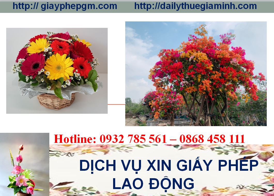 Thủ tục xin giấy phép lao động Kiên Giang