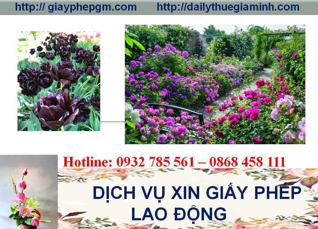 Dịch vụ xin giấy phép lao động Lâm Đồng 4 Thủ tục xin giấy phép lao động Lâm Đồng