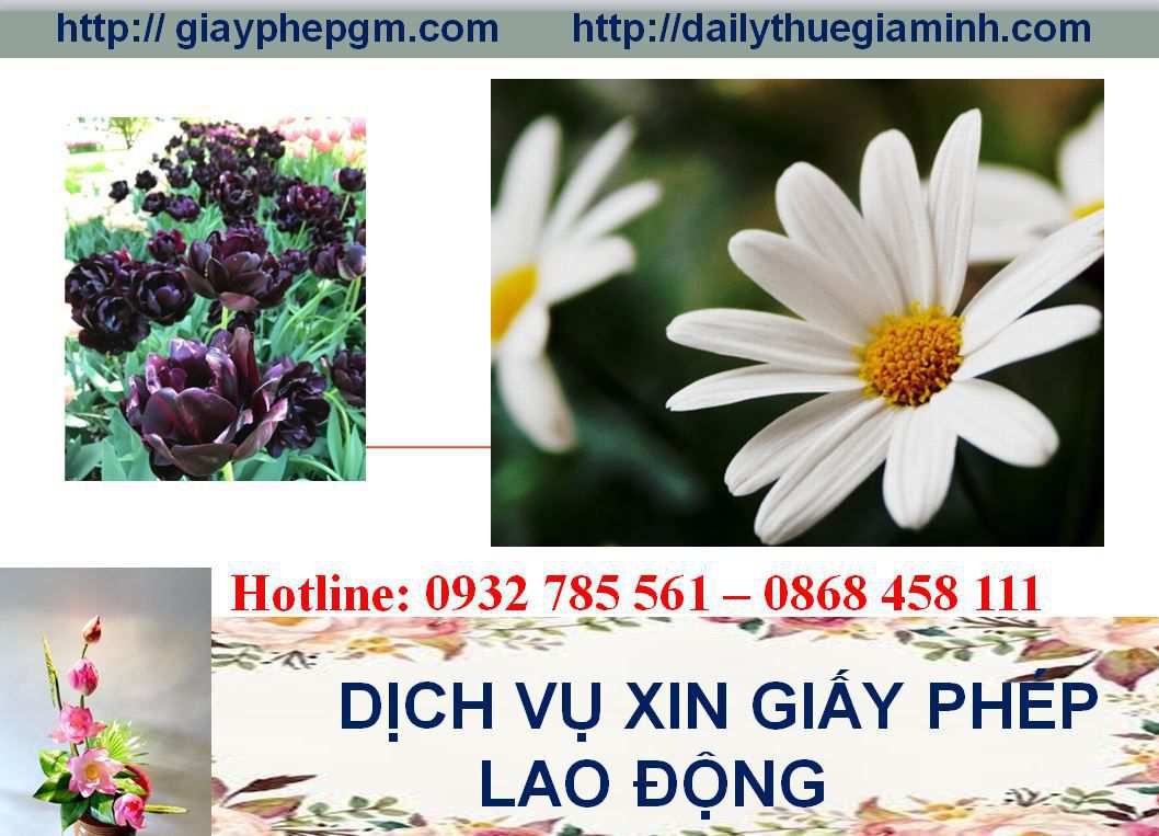 Dịch vụ xin giấy phép lao động Lạng Sơn 4 Thủ tục xin giấy phép lao động Lạng Sơn