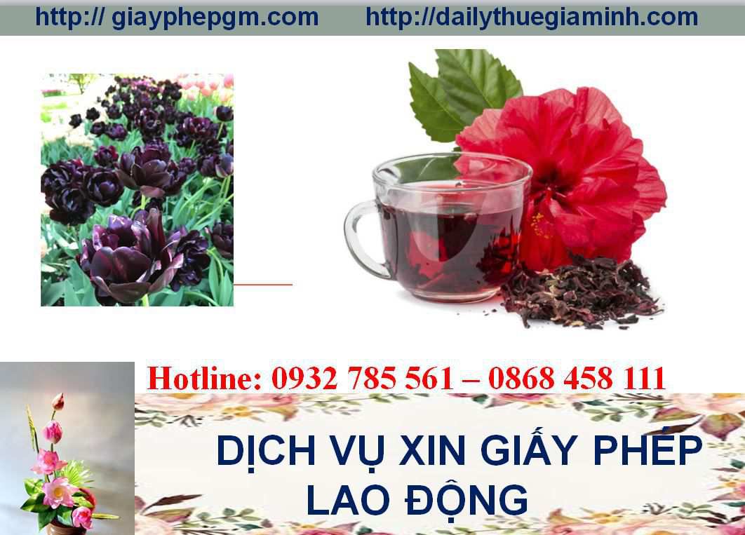Dịch vụ xin giấy phép lao động Lào Cai 4 Thủ tục xin giấy phép lao động Lào Cai