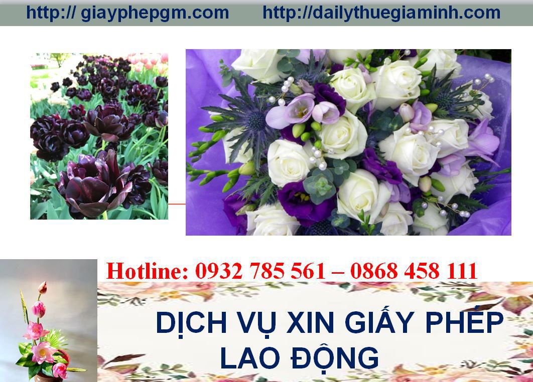 Dịch vụ xin giấy phép lao động Quảng Nam 4 Thủ tục xin giấy phép lao động Quảng Nam