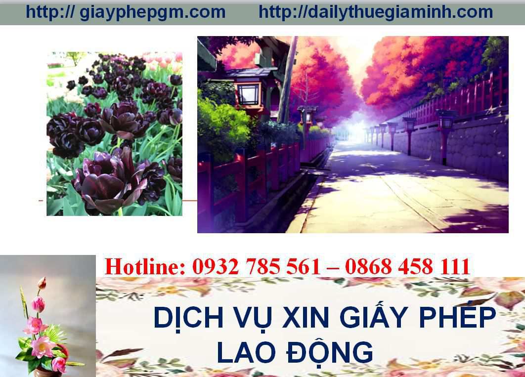 Dịch vụ xin giấy phép lao động Quảng Trị 4 Thủ tục xin giấy phép lao động Quảng Trị