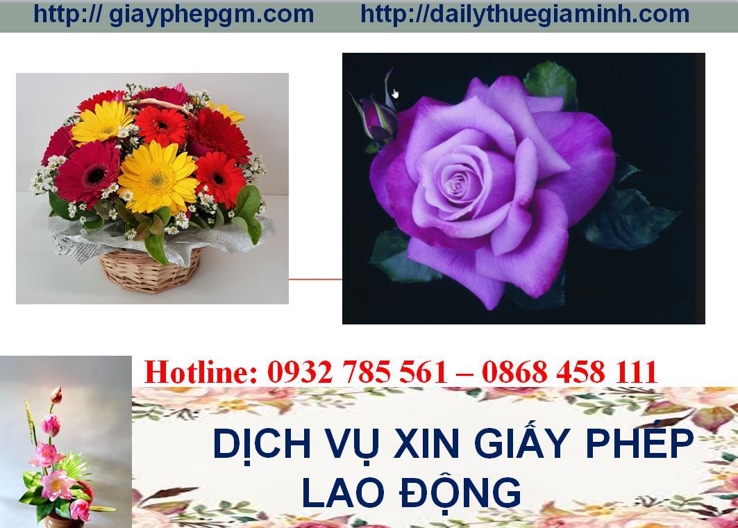 Dịch vụ xin giấy phép lao động Thừa Thiên Huế 4 Thủ tục xin giấy phép lao động Thừa Thiên Huế