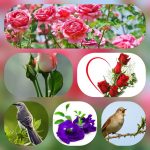 Xin giấy phép vệ sinh an toàn thực phẩm tại Huế 6 Xin giấy phép vệ sinh an toàn thực phẩm