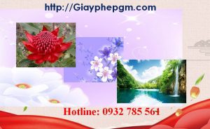 Xin giấy phép vệ sinh an toàn thực phẩm Bắc Giang 6 Cần xin giấy phép vệ sinh an toàn thực phẩm Bắc Giang