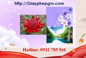Xin giấy phép vệ sinh an toàn thực phẩm Bắc Kạn 6 Cần xin giấy phép vệ sinh an toàn thực phẩm Bắc Kạn