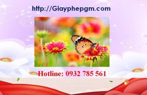 Xin giấy phép vệ sinh an toàn thực phẩm Bến Tre 14 Cần xin giấy phép vệ sinh an toàn thực phẩm Bến Tre