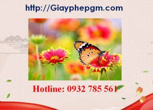 Xin giấy phép vệ sinh an toàn thực phẩm Bình Định 6 Cần xin giấy phép vệ sinh an toàn thực phẩm Bình Định