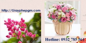 Xin giấy phép vệ sinh an toàn thực phẩm Bình Thuận 6 Cần xin giấy phép vệ sinh an toàn thực phẩm Bình Thuận