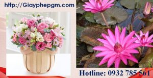 Xin giấy phép vệ sinh an toàn thực phẩm Đắk Lắk 3 Cần xin giấy phép vệ sinh an toàn thực phẩm Đắk Lắk