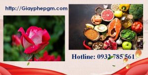 Xin giấy phép vệ sinh an toàn thực phẩm Điện Biên 3 Cần xin giấy phép vệ sinh an toàn thực phẩm Điện Biên