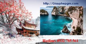 Xin giấy phép vệ sinh an toàn thực phẩm Đồng Tháp 7 Cần xin giấy phép vệ sinh an toàn thực phẩm Đồng Tháp