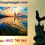 xin giấy phép vệ sinh an toàn thực phẩm Hoà Bình 6 Cần xin giấy phép vệ sinh an toàn thực phẩm Hoà Bình