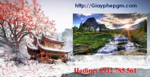 Xin giấy phép vệ sinh an toàn thực phẩm Lạng Sơn 6 Cần xin giấy phép vệ sinh an toàn thực phẩm Lạng Sơn