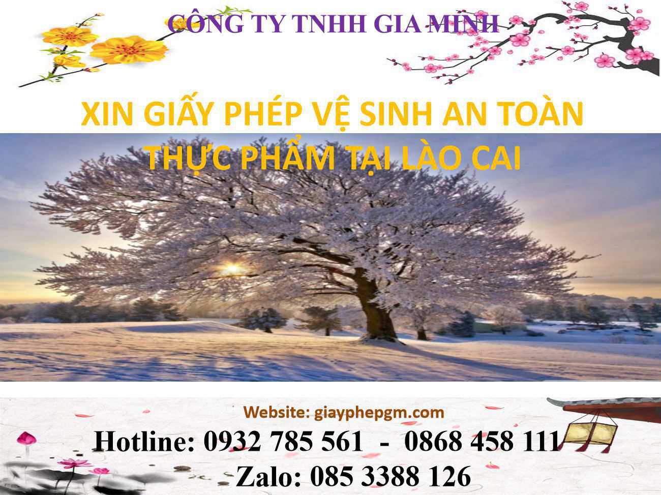 Xin giấy phép vệ sinh an toàn thực phẩm Lào Cai 4 Thủ tục xin giấy phép vệ sinh an toàn thực phẩm Lào Cai