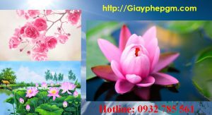 Xin giấy phép vệ sinh an toàn thực phẩm Nam Định 6 Cần xin giấy phép vệ sinh an toàn thực phẩm Nam Định