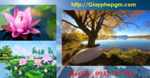 Xin giấy phép vệ sinh an toàn thực phẩm Ninh Bình 6 Cần xin giấy phép vệ sinh an toàn thực phẩm Ninh Bình