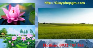 Xin giấy phép vệ sinh an toàn thực phẩm Phú Thọ 6 Cần xin giấy phép vệ sinh an toàn thực phẩm Phú Thọ