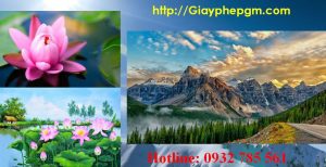 Cần xin giấy phép vệ sinh an toàn thực phẩm Phú Yên