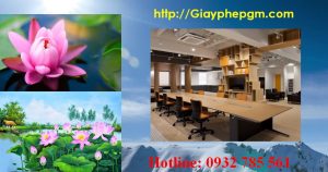 Xin giấy phép vệ sinh an toàn thực phẩm Quảng Bình 6 Cần xin giấy phép vệ sinh an toàn thực phẩm Quảng Bình