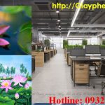 xin giấy phép vệ sinh an toàn thực phẩm Quảng Ngãi 14 cần xin giấy phép vệ sinh an toàn thực phẩm Quảng Ngãi