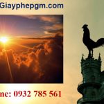 Xin giấy phép vệ sinh an toàn thực phẩm tại Vĩnh Long 6 Cần xin giấy phép vệ sinh an toàn thực phẩm tại Vĩnh Long