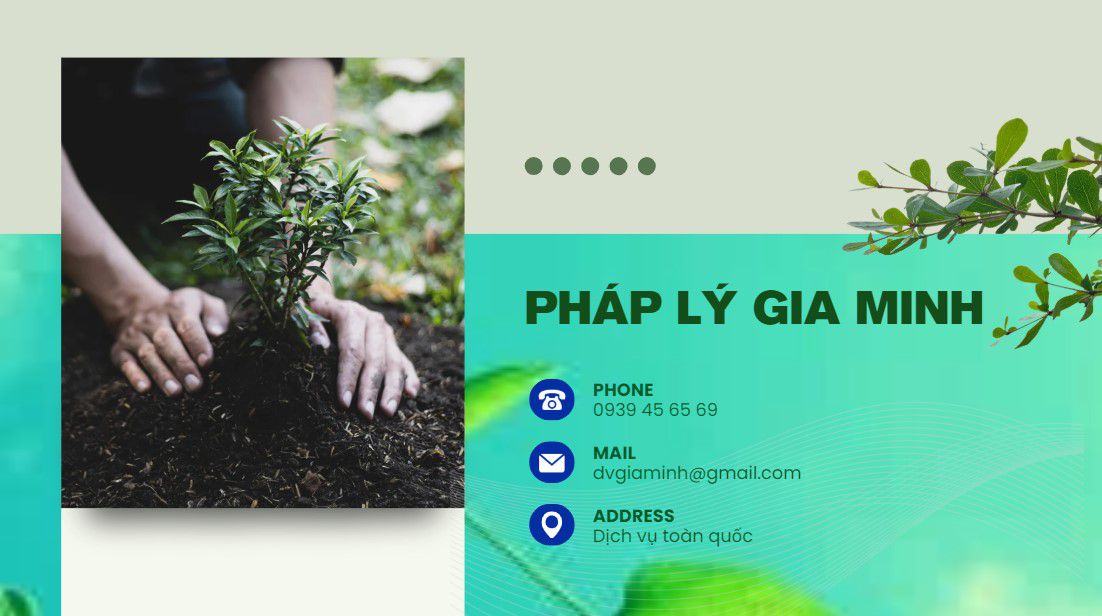 Dịch vụ mở công ty ở Cần Thơ 11 Tư vấn thành lập công ty tại Cần Thơ