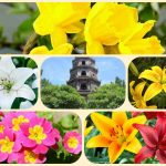 Chi phí thành lập công ty tại huyện Cờ Đỏ 6 Thành lập công ty tại huyện Cờ Đỏ