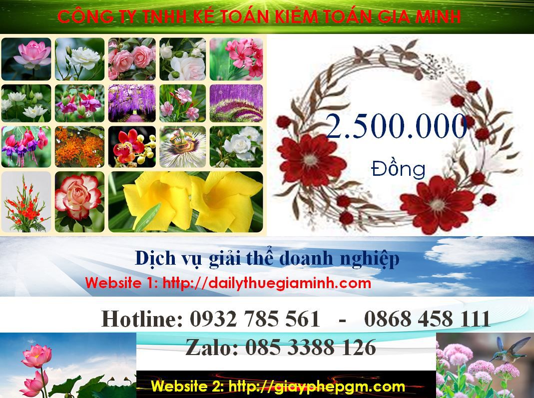 Giải thể công ty ở Quận 02 2 Chi phí giải thể công ty ở Quận 4